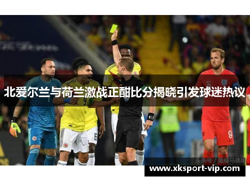 北爱尔兰与荷兰激战正酣比分揭晓引发球迷热议
